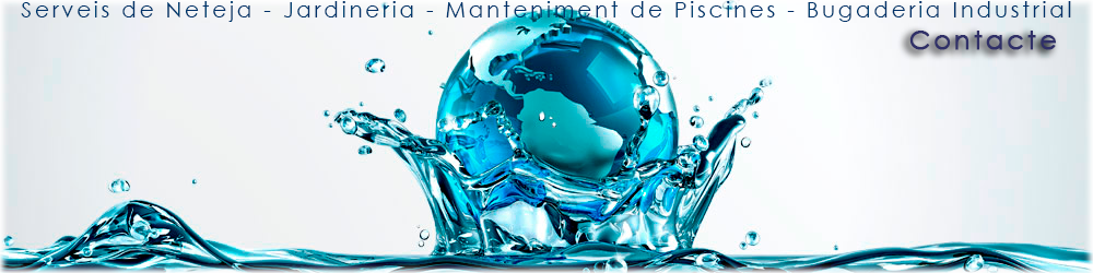 cabecera contacto mimsa